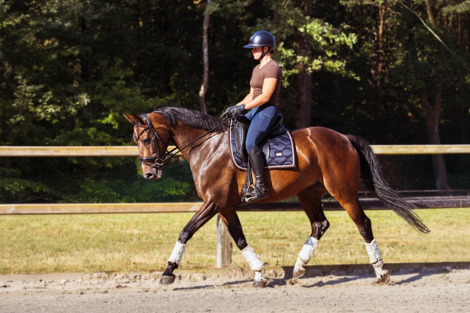 Dressuur/Allround topper te koop!, Merrie, Met stamboom, M, Dressuurpaard
