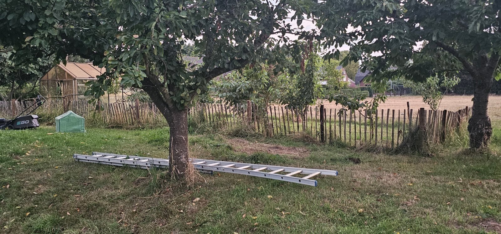 Kastanjehouten Schapenhek 100 cm hoog, 50 meter lang 5€ pm, Ophalen, Met poort, Gebruikt, Spijlenhekwerk