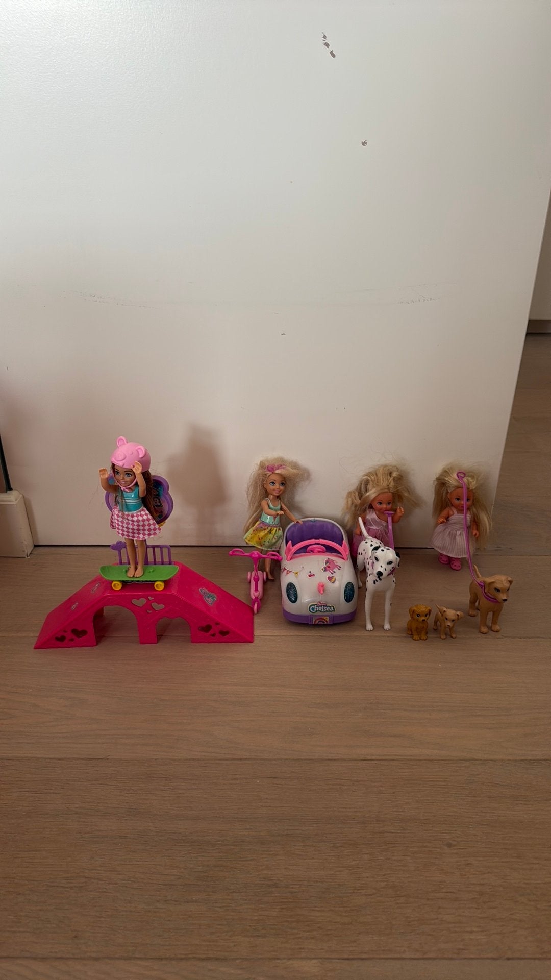 Barbie meisjes met skatebaan en hondjes, Ophalen, Barbie