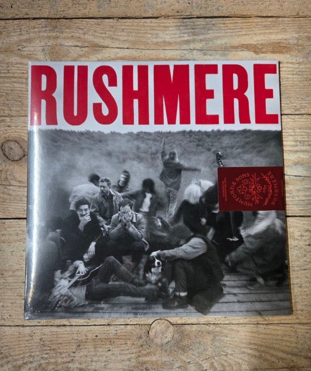 Mumford & sons rushmere vinyl sealed, Cd's en Dvd's, Vinyl | Rock, LP, Colored vinyl, Ophalen of Verzenden, 12 inch