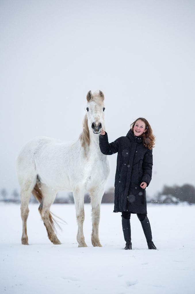 Stalhulp aangeboden, Dieren en Toebehoren