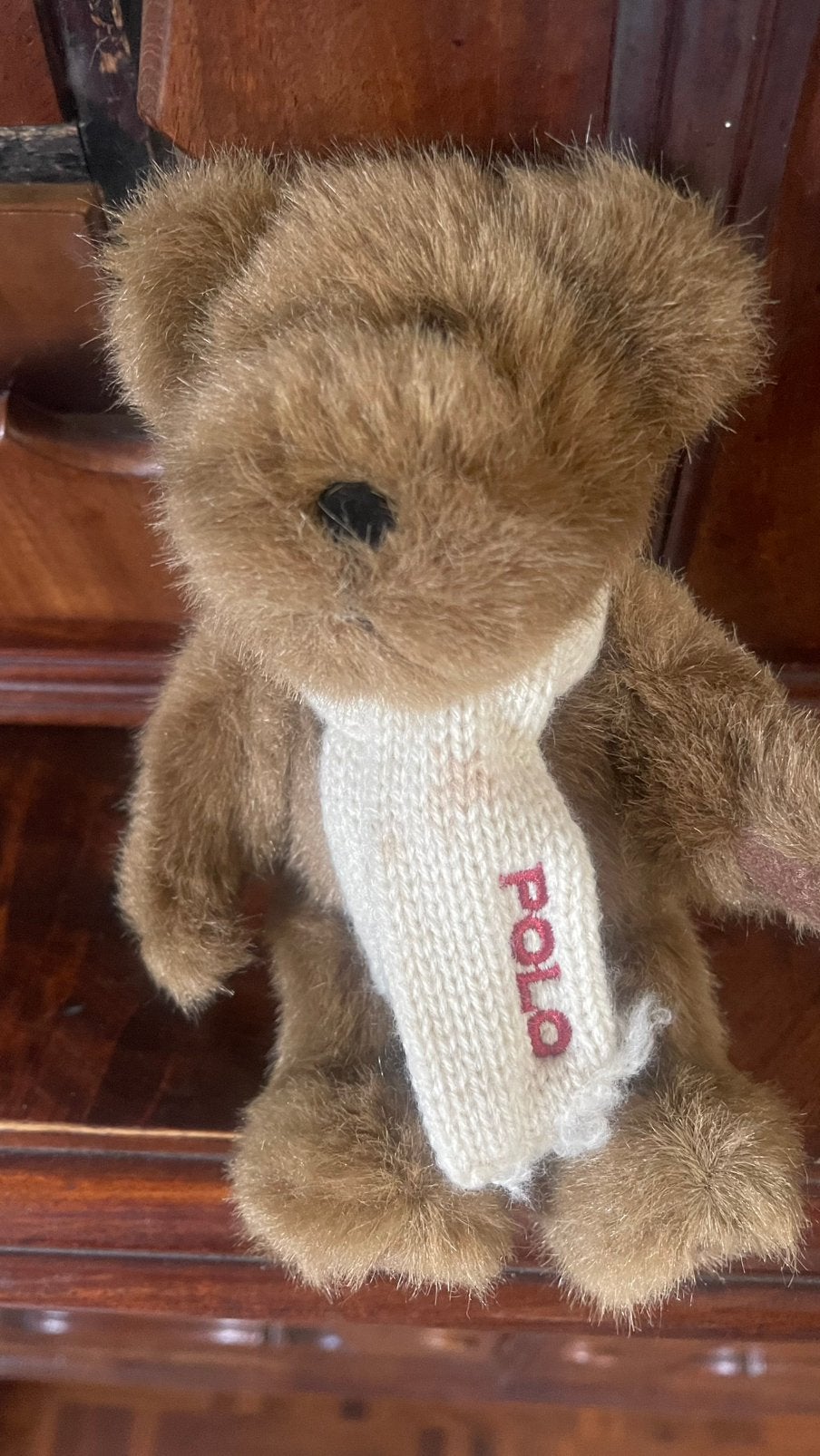 Polo Ralph Lauren Teddybeer met Sjaal -  nieuw, Ophalen of Verzenden, Nieuw, Stoffen beer, Overige merken