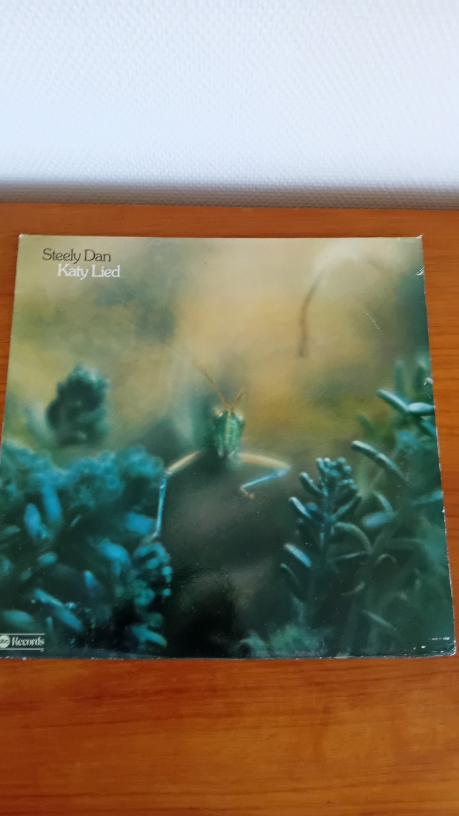 Lp Steely Dan  - Katy Lied, Ophalen of Verzenden, Zo goed als nieuw, 12 inch, Poprock