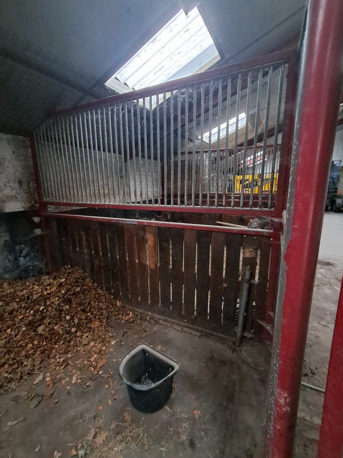 2 paarden boxen, 2 of 3 paarden of pony's