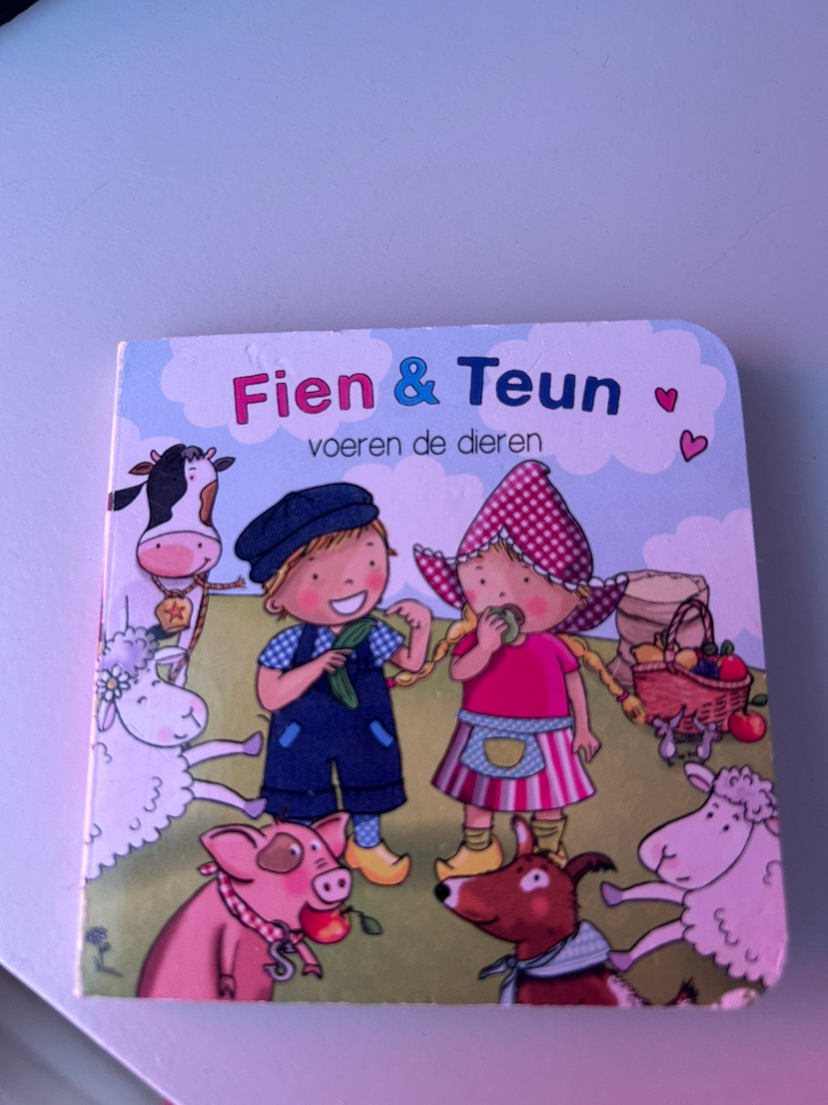 Fien en Teun kartonboekje, Ophalen of Verzenden, Zo goed als nieuw