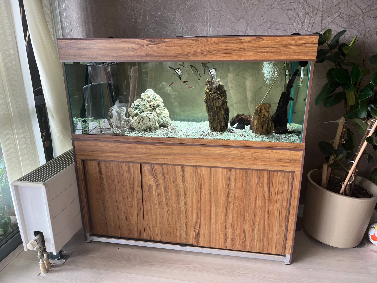 Aquarium, Dieren en Toebehoren, Vissen | Aquaria en Toebehoren, Ophalen of Verzenden, Zo goed als nieuw, Gevuld zoetwateraquarium