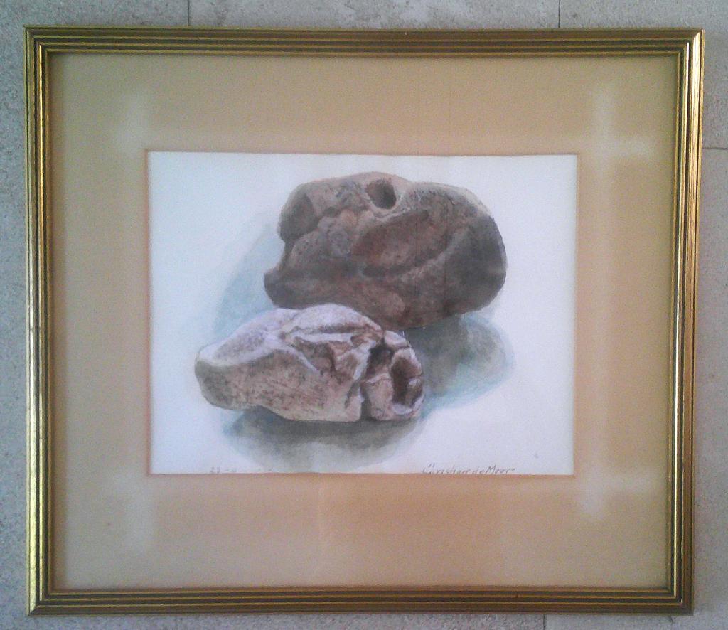 (Fossielen) in een steen 23-9-72- Christian de Moor 1899-'81, Antiek en Kunst, Ophalen of Verzenden