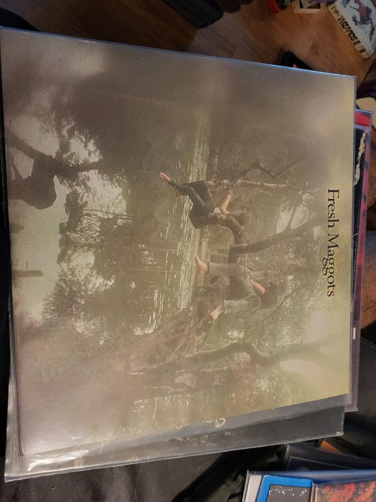 ~Vinyl~ Fresh Maggots, Ophalen, Zo goed als nieuw, 12 inch
