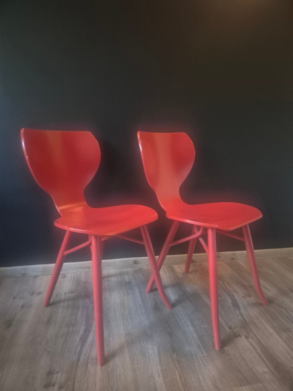 2 Linteloo tulipani, Ophalen, Gebruikt, Eén