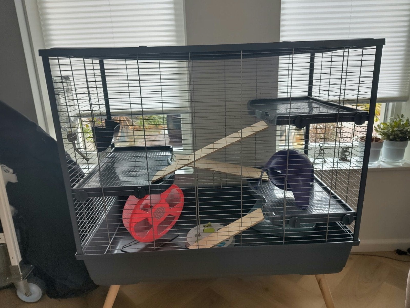 Rattenhok met extras, Kooi, Zo goed als nieuw, 75 tot 110 cm, Ophalen