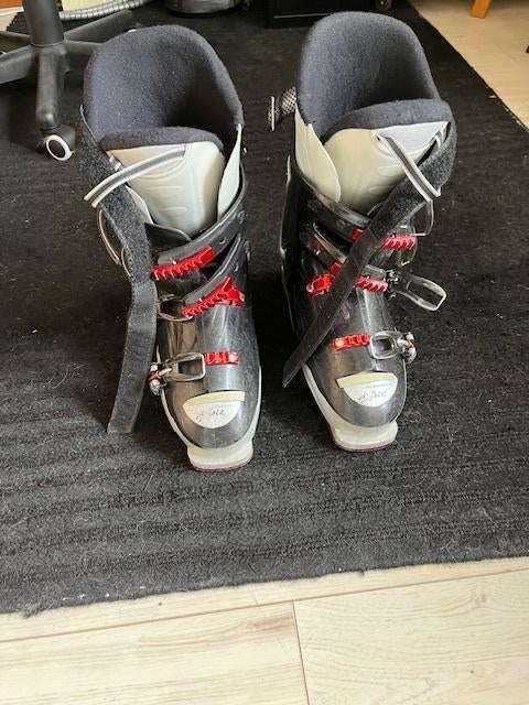 Skischoenen, Sport en Fitness, Skiën en Langlaufen, Ophalen, 160 tot 180 cm, Gebruikt, Rossignol