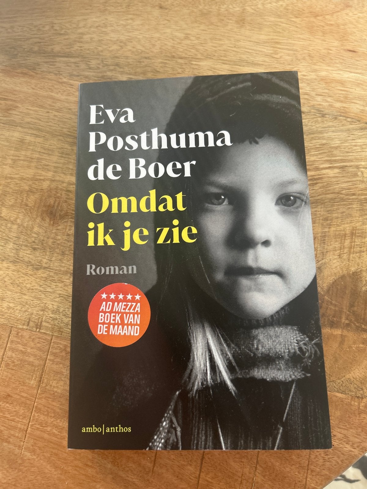 Omdat ik je zie - Eva Posthuma de Boer (Roman), Boeken, Ophalen, Zo goed als nieuw, Nederland