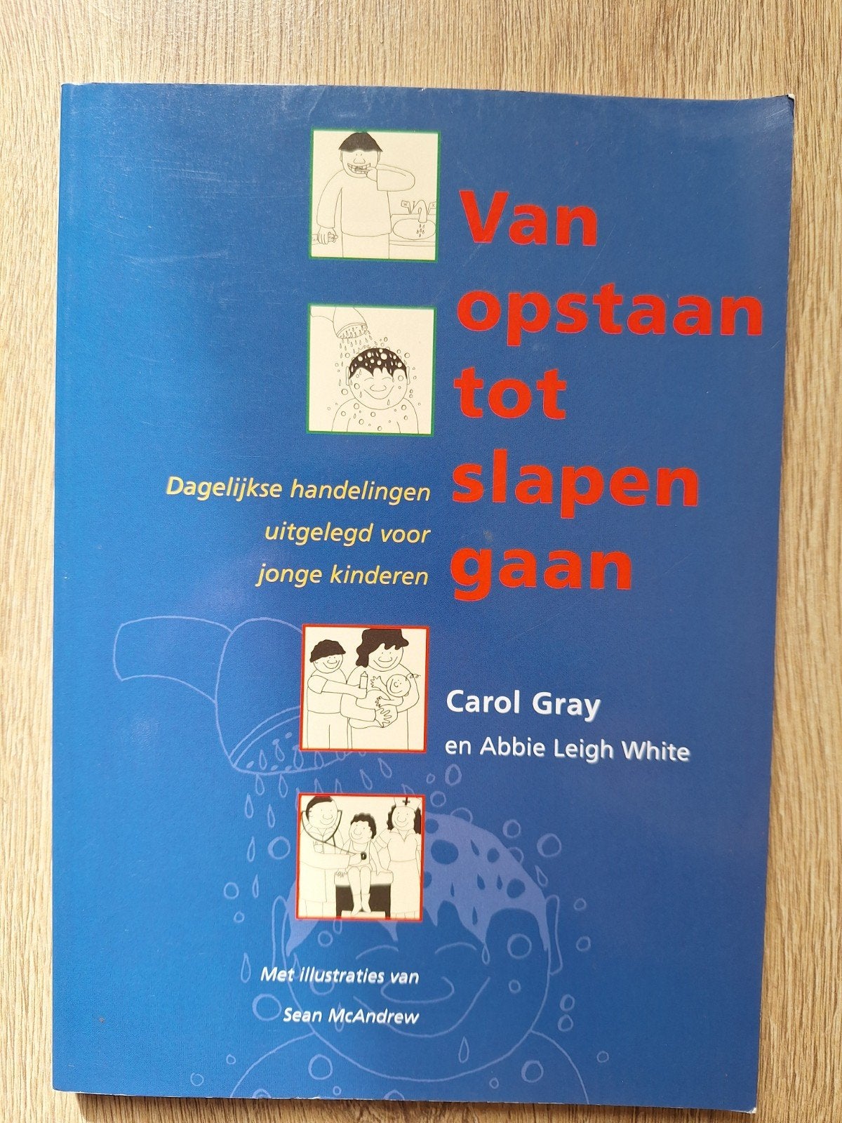 Van opstaan tot slapen gaan – Carol Gray (Autisme / ASS), Ophalen of Verzenden, Gelezen