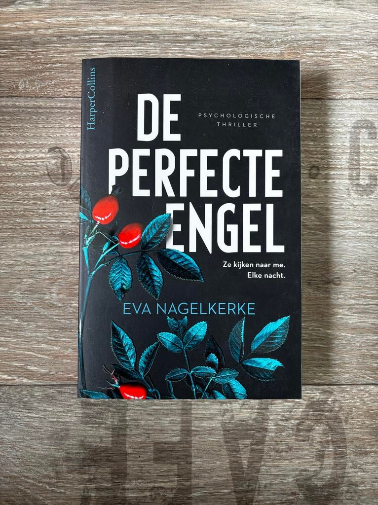 De Perfecte Engel - Eva Nagelkerke (Psychologische Thriller), Ophalen of Verzenden, Zo goed als nieuw, Nederland