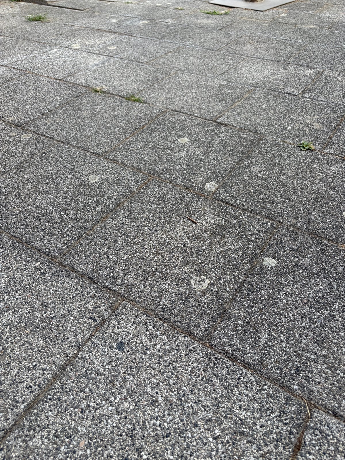 +/- 70m2 aan 30 x 30 x 7 tegels, Ophalen, Zo goed als nieuw, Beton, Terrastegels