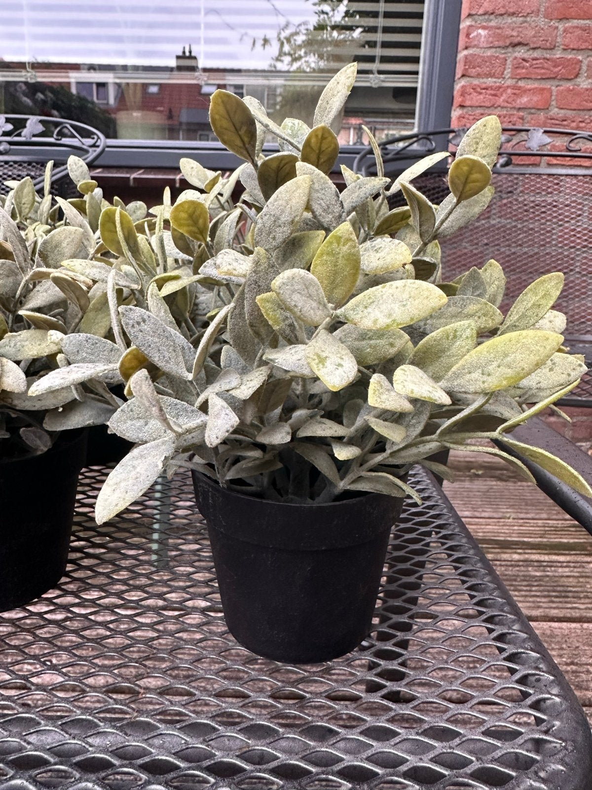 IKEA Kunstplant Fejka - Realistische Decoratie, Binnen, Groen, Kunstplant, Ophalen of Verzenden