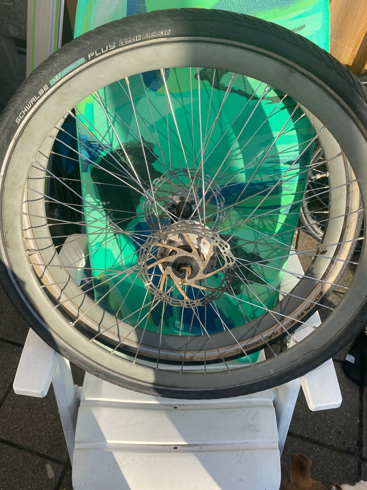 Shimano Nexus Inter 7 SG-C3001-7D achter en voorwiel, Fietsen en Brommers, Fietsonderdelen, Ophalen
