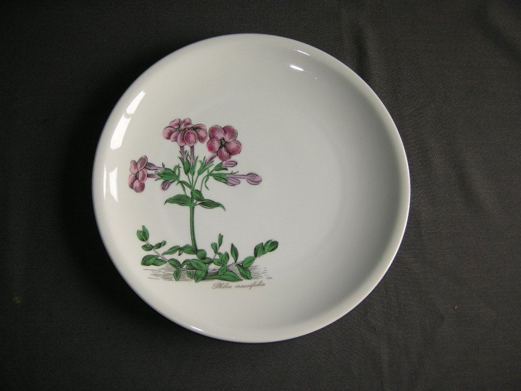 Seltmann & Weiden Renate Flora borden / schalen O27 cm., Seltmann & Weiden, Overige merken, N.v.t., Ophalen of Verzenden