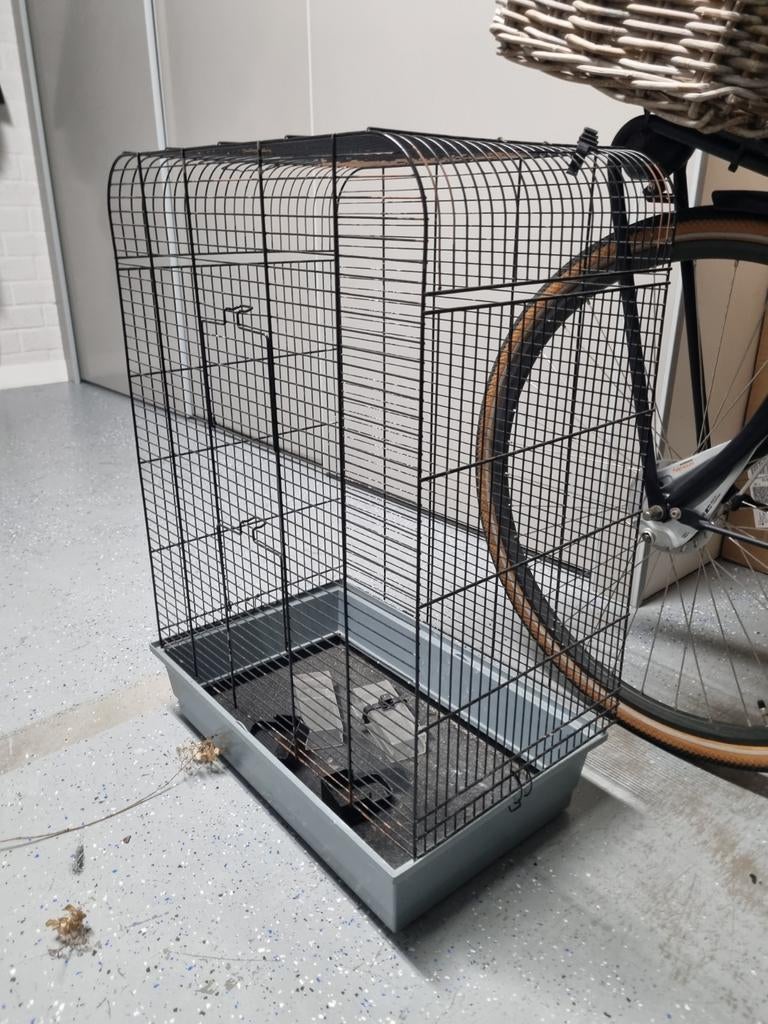 Vogelkooi, Dieren en Toebehoren, Ophalen