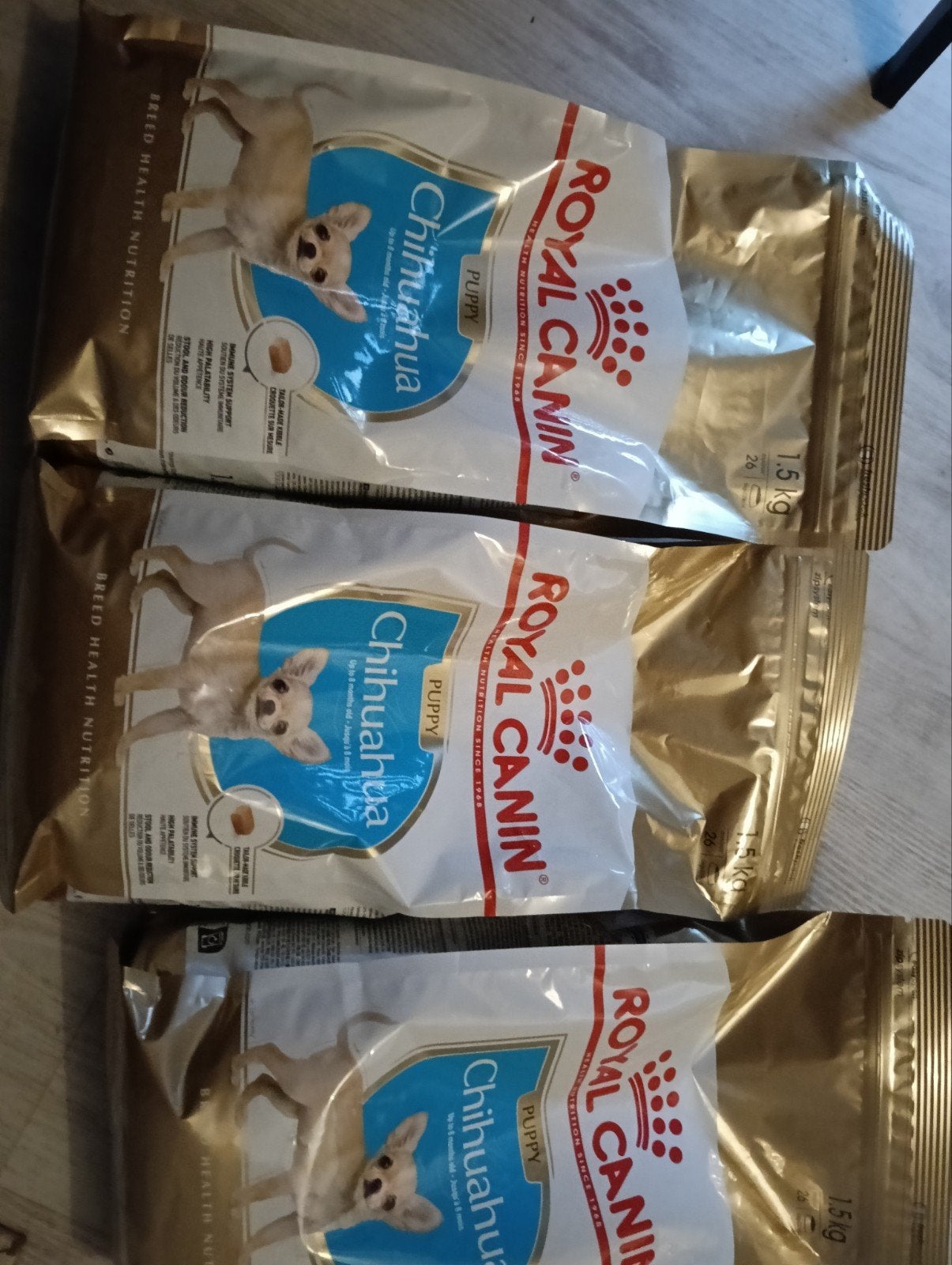 chihuahua puppy brokken 3 zaken  nieuw, Dieren en Toebehoren, Ophalen, Hond