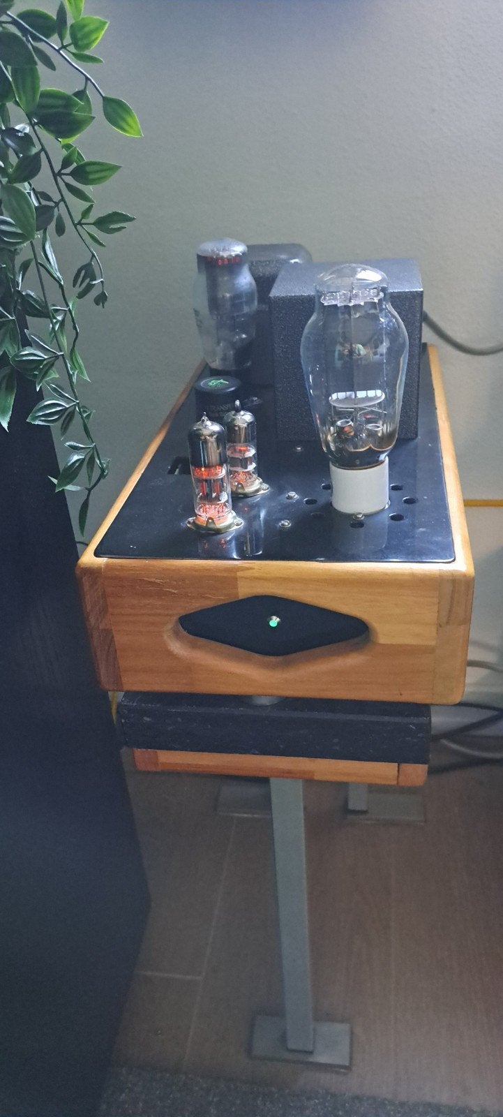 Triodedick Little Ceasar, Audio, Tv en Foto, Buizenversterkers, Ophalen, Versterker