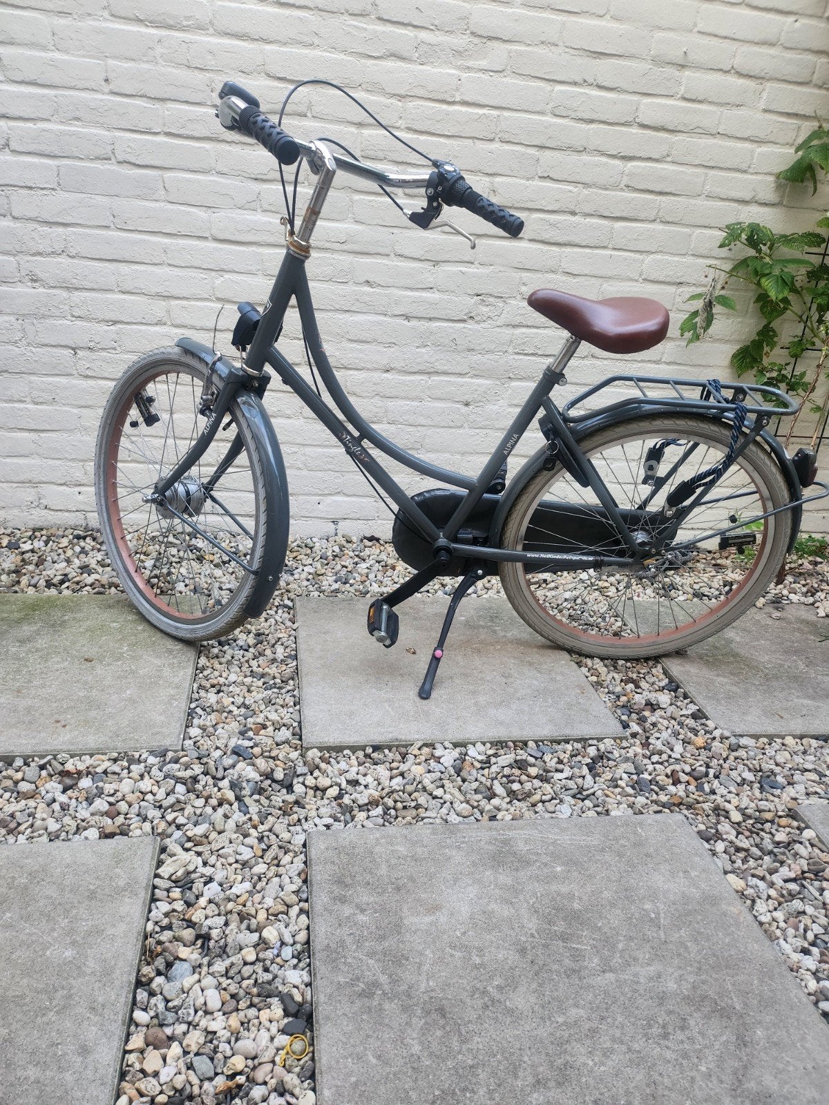 Alpina Curve meisjesfiets 24 inch, Velgrem, Versnellingen, Ophalen, Overige merken
