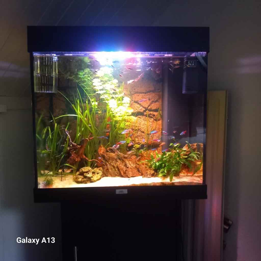 Juwel aquarium 140L met kast, Ophalen of Verzenden, Leeg aquarium