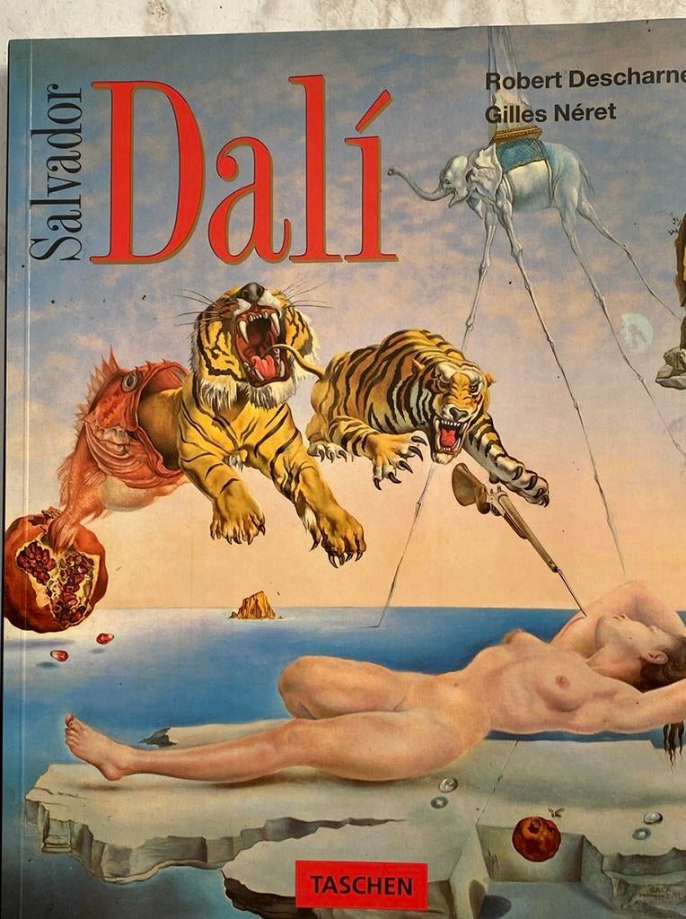 Salvador Dalí Kunstboek - Robert Descharnes & Gilles Néret, Ophalen of Verzenden, Gelezen, Overige onderwerpen