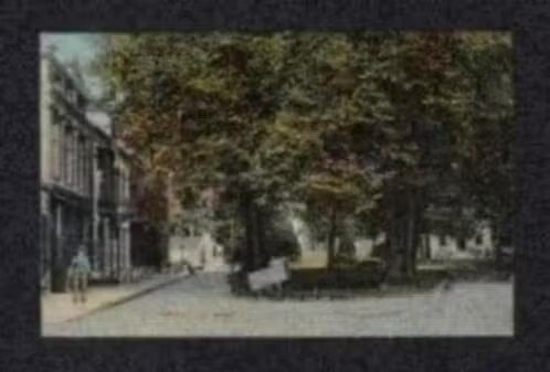 Assen De Brink met Hondenkar 1913., Ophalen of Verzenden, Voor 1920, Gelopen, Drenthe