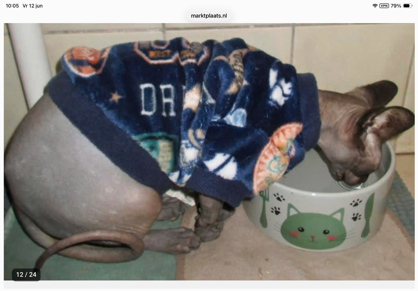 Handmade KATTENTRUI Kattenkleding Sphynx kat kitten Rex Poes, Ophalen of Verzenden, Nieuw