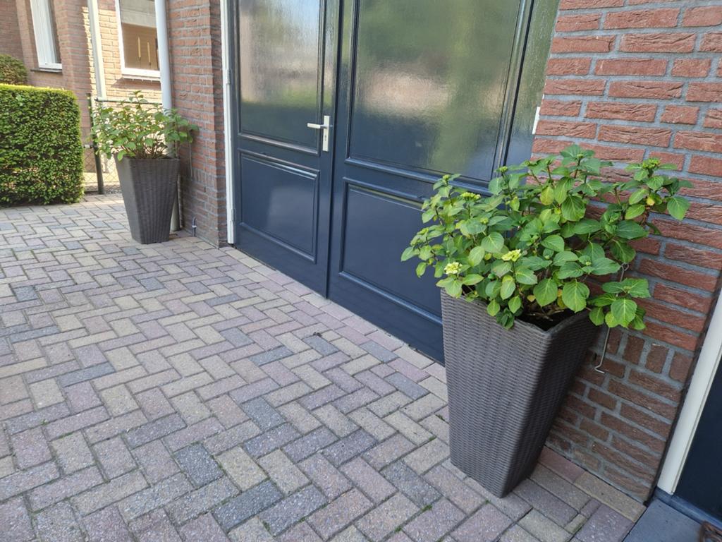 2 plantenbakken met witte hortensia's, Tuin en Terras, Bloembakken en Plantenbakken, Ophalen, Kunststof, Gebruikt, Minder dan 60 cm