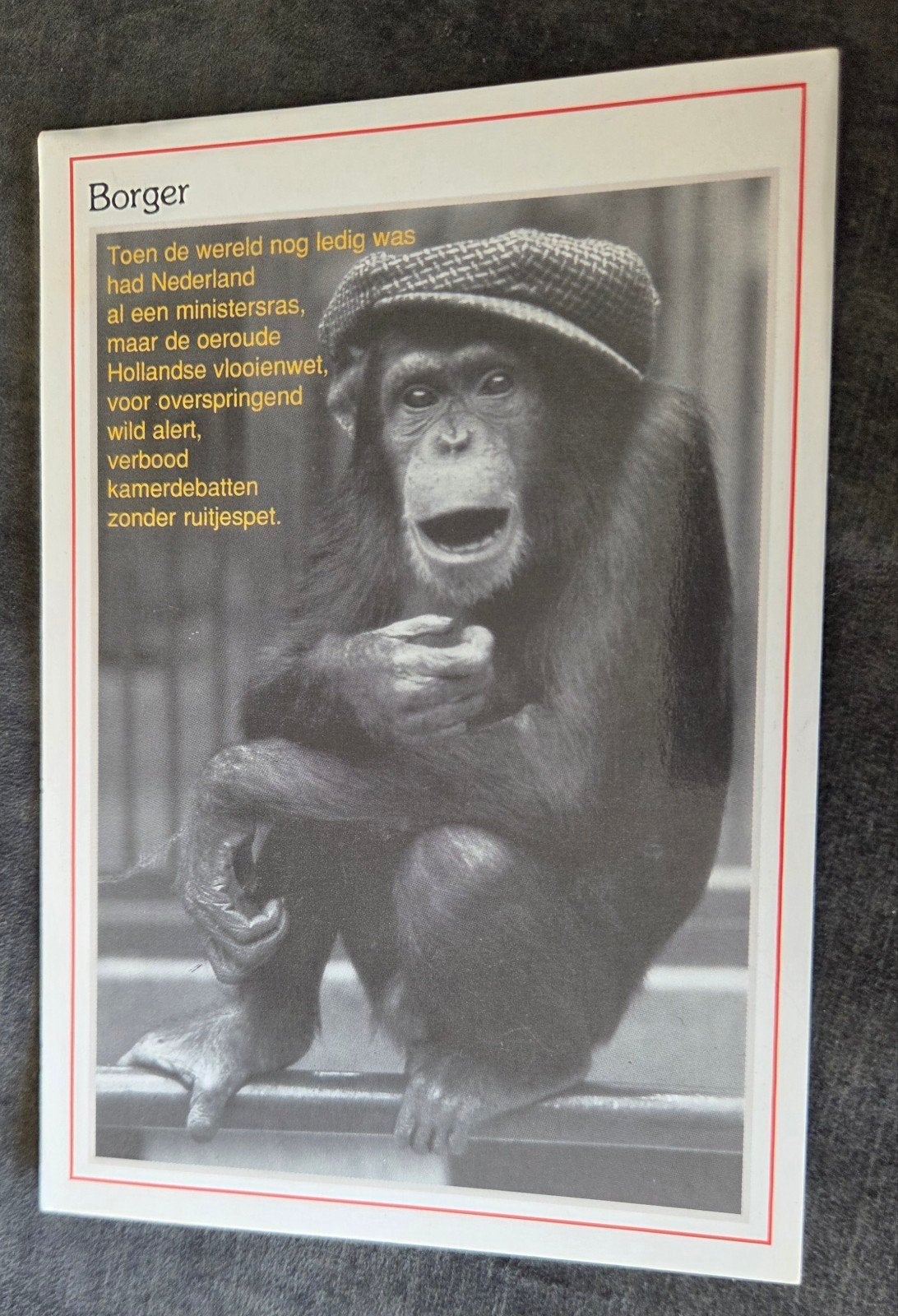 Aap met Ruitjespet, Verzenden, 1980 tot heden, Gelopen, Wild dier