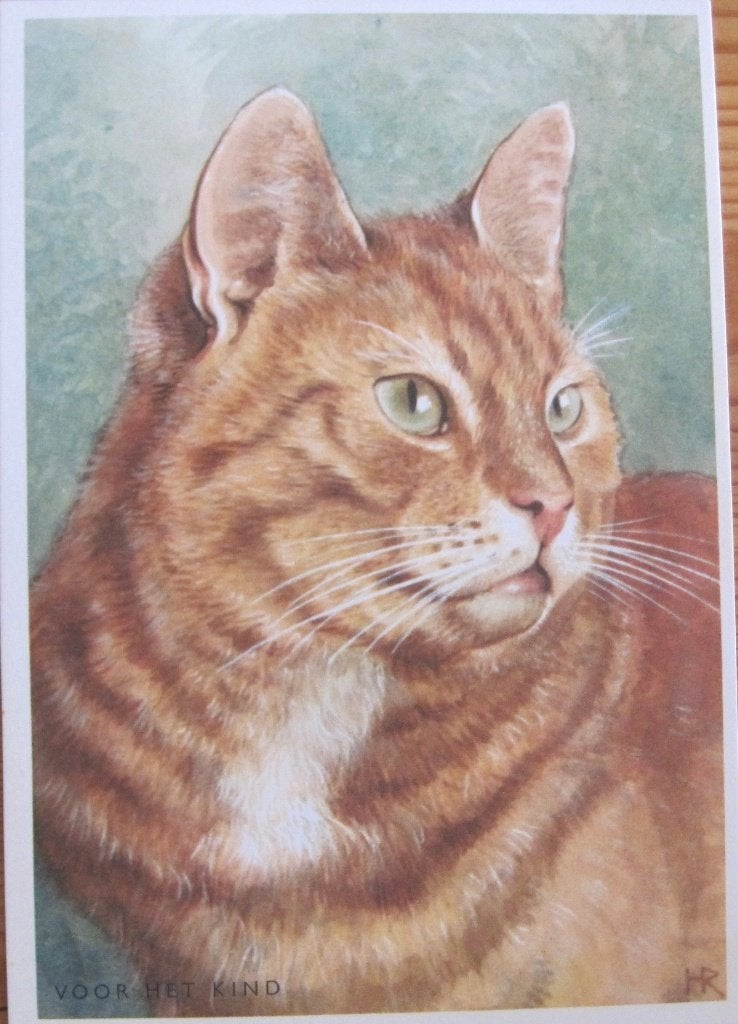 voor het kind - rode kater - 1964, Verzamelen, Verzenden, 1960 tot 1980, Ongelopen, Hond of Kat