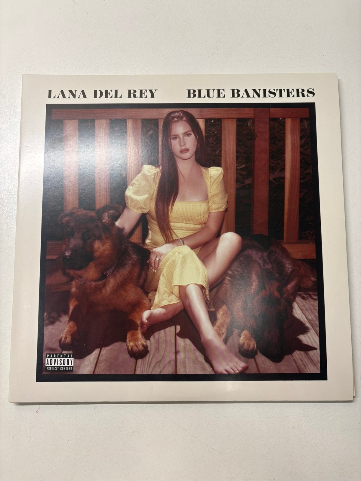 Lana Del Rey Blue Banisters LP, Fotohoes, Overige genres, Ophalen of Verzenden, Zo goed als nieuw