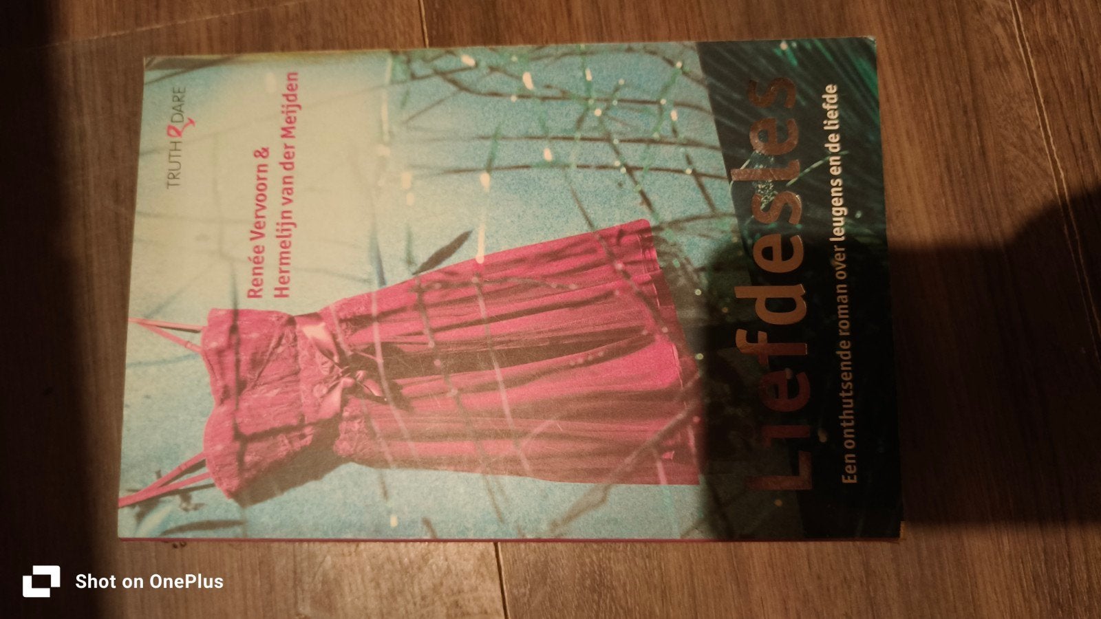 Liefdesles: Roman over leugens en liefde, Boeken, Ophalen of Verzenden, Gelezen, Renée Vervoorn & Hermelijn van der Meijden, Nederland