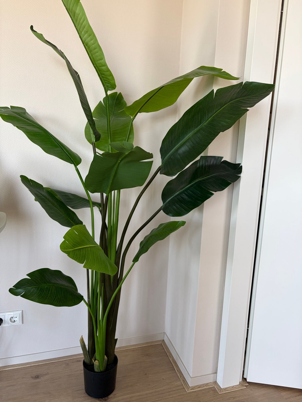 Silk-Ka kunstplant Strelitzia Groen - 183 cm, Huis en Inrichting, Kamerplanten, Overige soorten, In pot, 150 tot 200 cm, Groene kamerplant