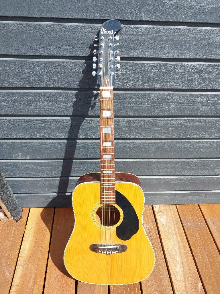 Akoestische Gitaar, Muziek en Instrumenten, Ophalen, Gebruikt, Western- of Steelstringgitaar, 12-snarig