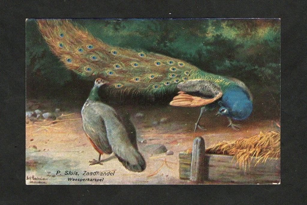 Reclamekaart Sluis Zaadhandel Pauwen Weesperkarspel., Ophalen of Verzenden, Voor 1920, Ongelopen, Vogel