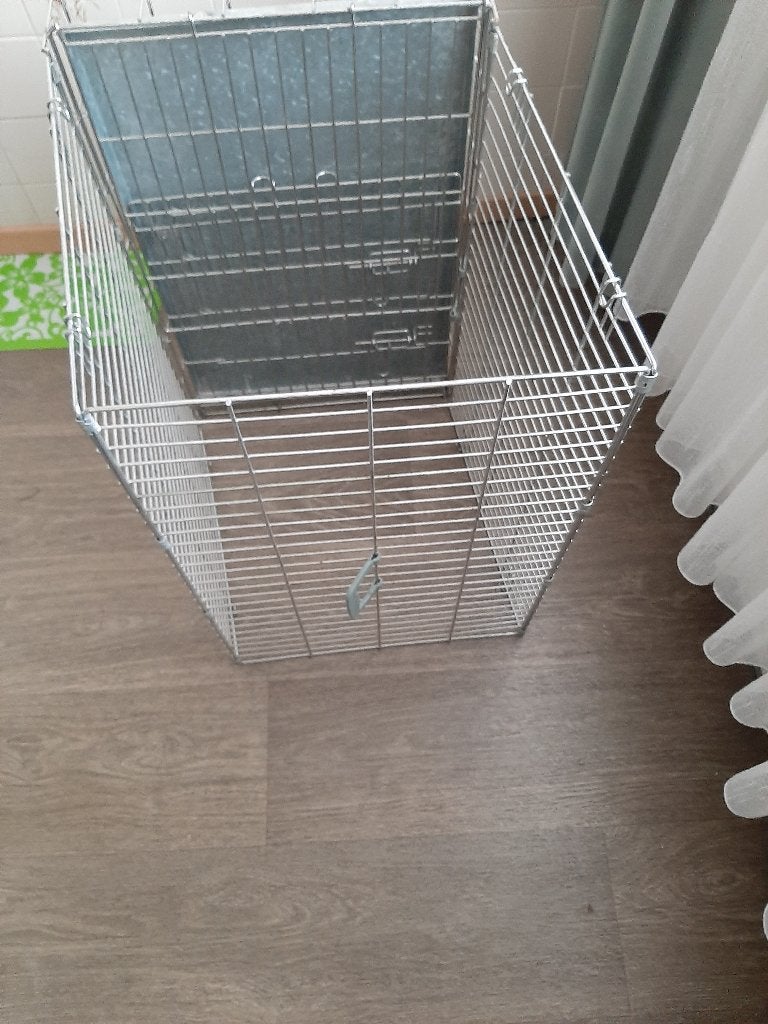 te koop bench, Dieren en Toebehoren, Honden | Jack Russells en Terriërs, 6 jaar of ouder, Jack Russell Terriër, Reu, Parvo