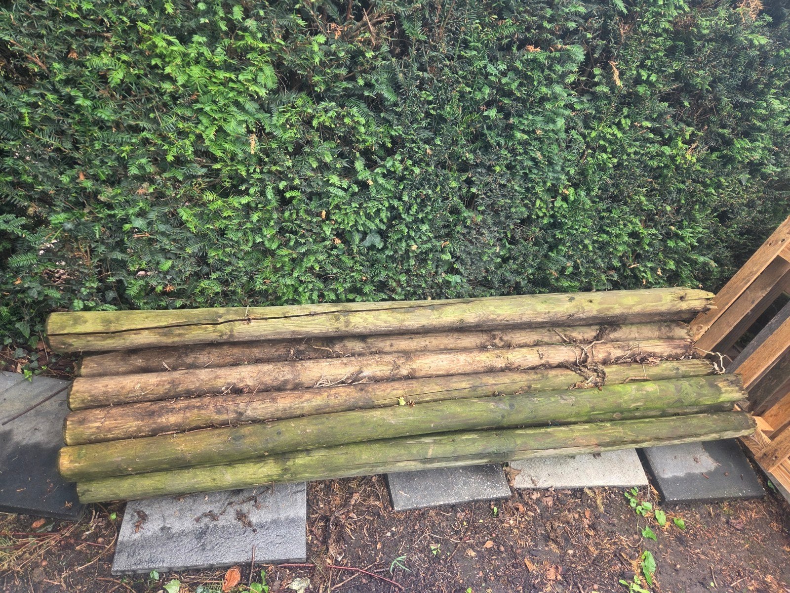 18 gebruikte palen van 190cm lang, diameter 10cm, Ophalen, Gebruikt, 180 tot 250 cm, Palen