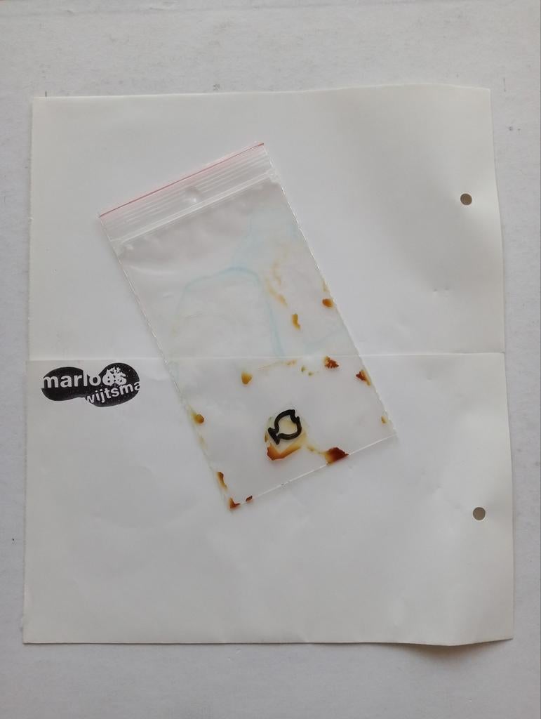 Marloes Wijtsma conceptuele kunst Zwolle 1998, Ophalen of Verzenden