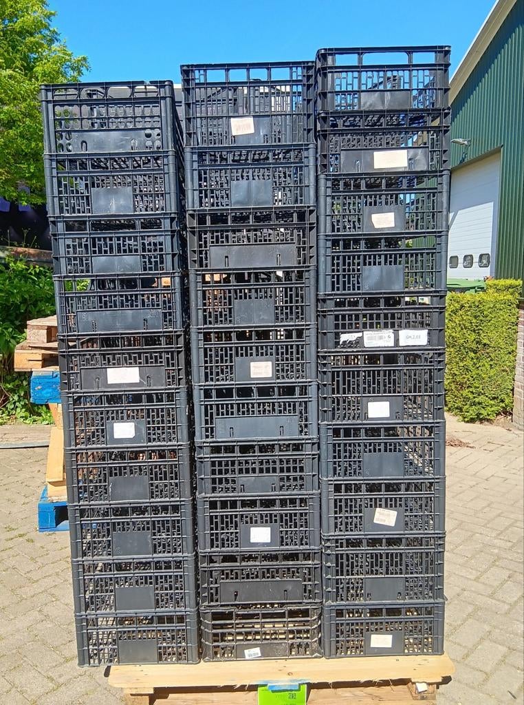 30x Gebruikte zwarte kratten voor opslag of transport, Tuin en Terras, Kweekspullen, Ophalen of Verzenden, Gebruikt