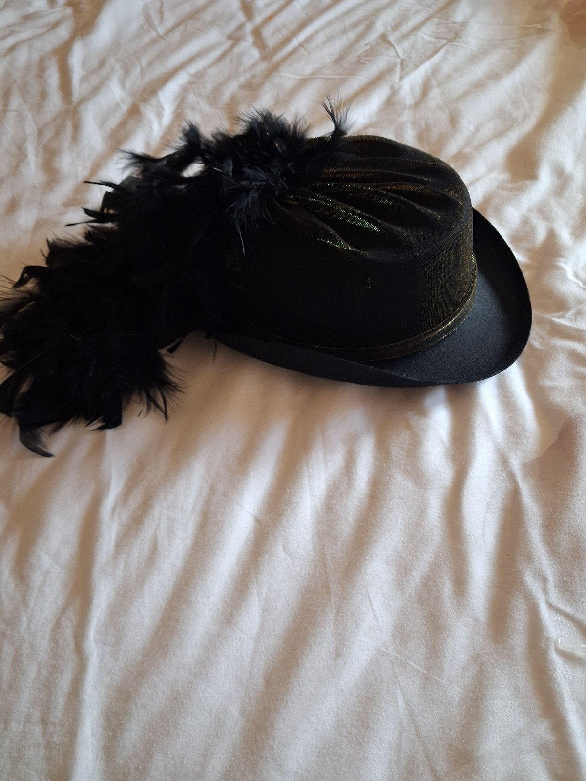 zwarte dames hoed met veren voor carnaval, Ophalen of Verzenden, Gedragen, Carnaval, Accessoires