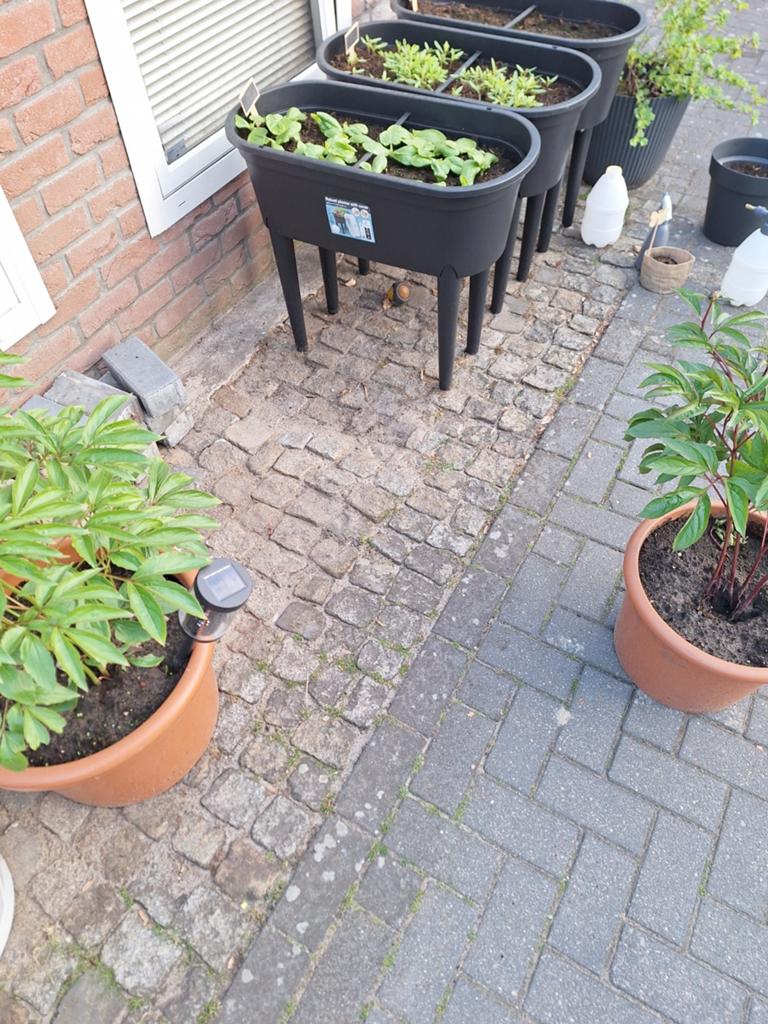 Kinderkopjes  kasseien., Tuin en Terras, Tegels en Klinkers, Ophalen of Verzenden, Natuursteen, Overige typen