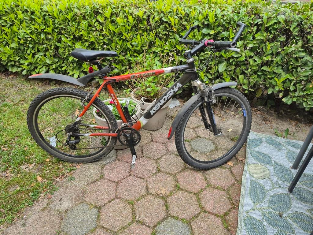 Degelijke mountainbike - onderhoud nodig, Fietsen en Brommers, Fietsen | Mountainbikes en ATB, Ophalen