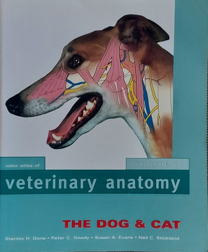 Veterinary Anatomy The dog and the cat volume 3, Ophalen of Verzenden, Beta, Zo goed als nieuw, HBO