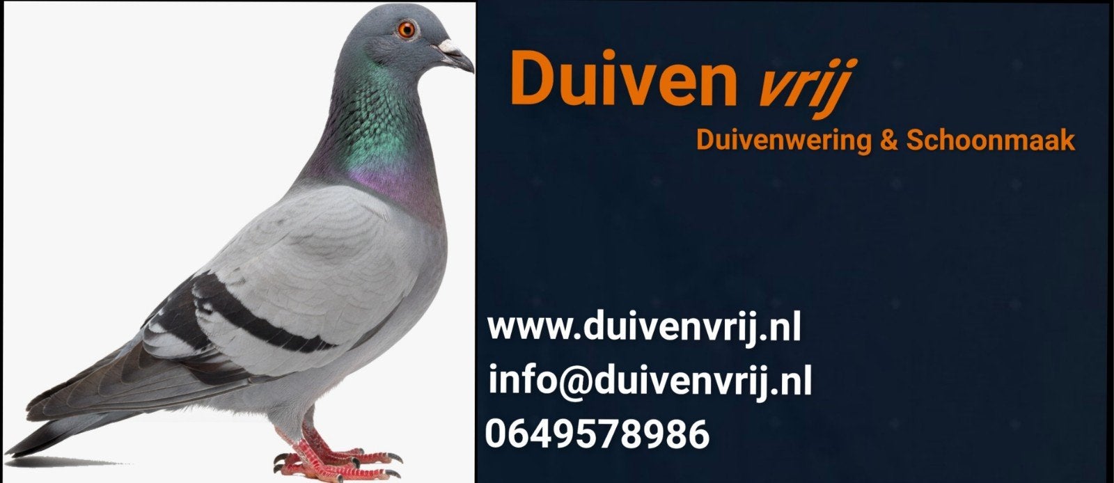 Duiven net/pinnen & reiniging, Dieren en Toebehoren, Vogels | Duiven, Meerdere dieren, Overige soorten