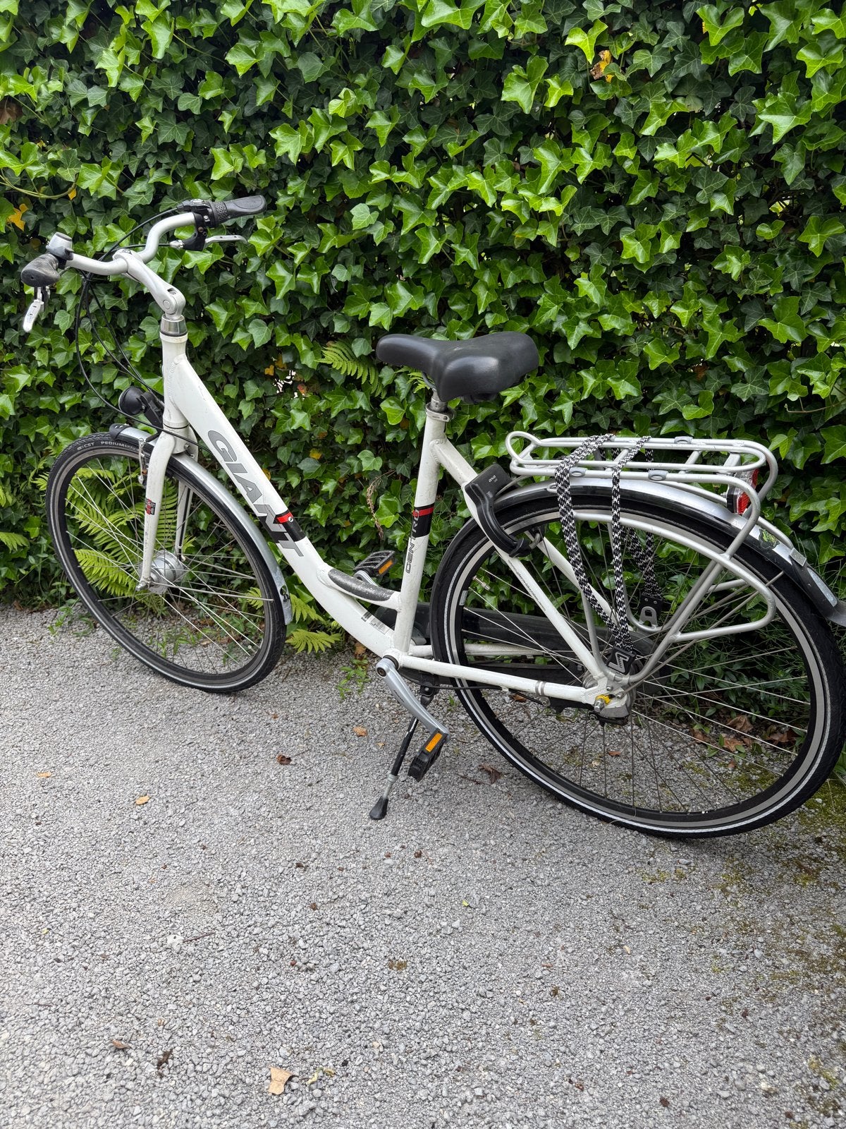 Giant Centro damesfiets, Fietsen en Brommers, Fietsen | Dames | Damesfietsen, Ophalen, Velgrem, Versnellingen, Giant