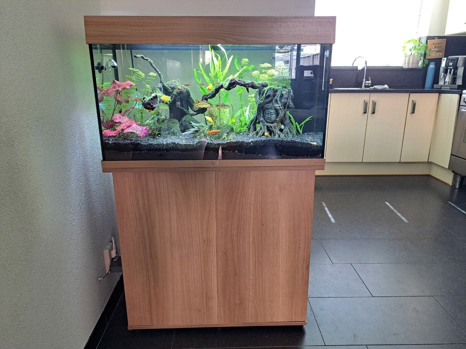 juwel aquarium met kast,zonder planten en vissen, Ophalen, Inclusief deksel, Zo goed als nieuw, Juwel