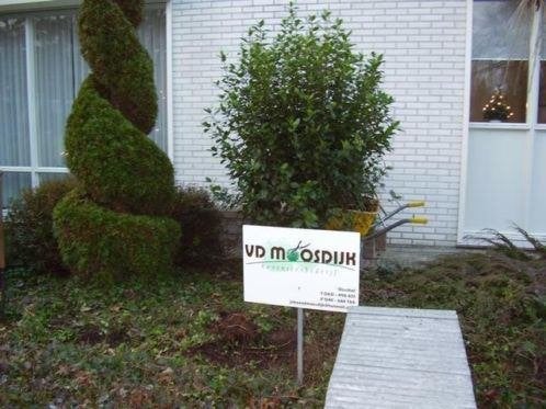 Tuin,#Graszoden aanleg , nieuw gazon met graszoden Tilburg, Tuin en Terras, Ophalen of Verzenden, Nieuw, 20 m² of meer